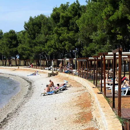 Apartment Novigrad 6951a