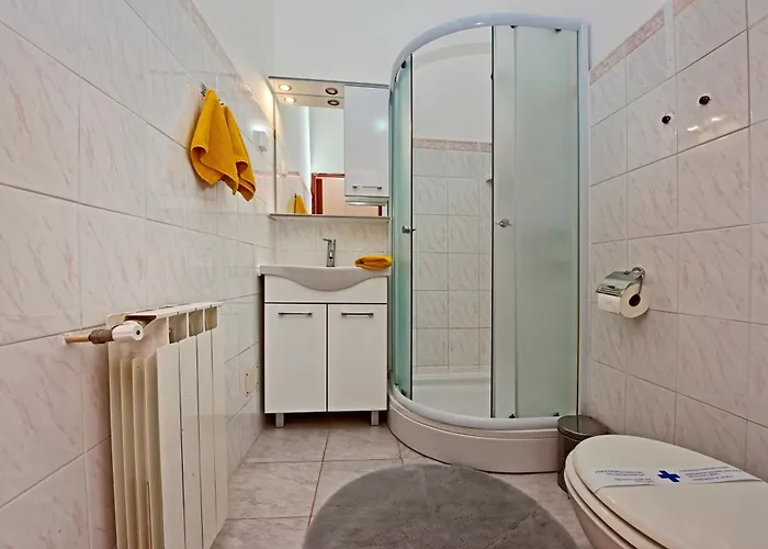 Apartment Novigrad 6951a